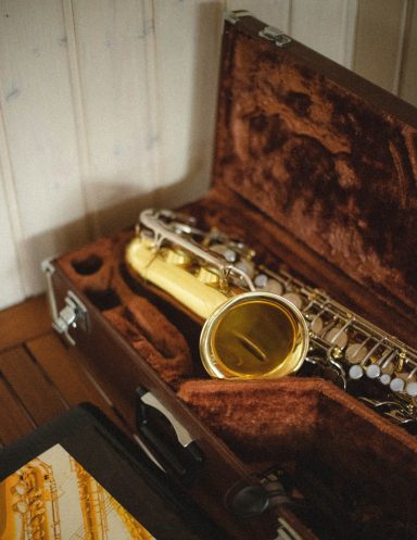 Alto Saxophone in a case with lid open